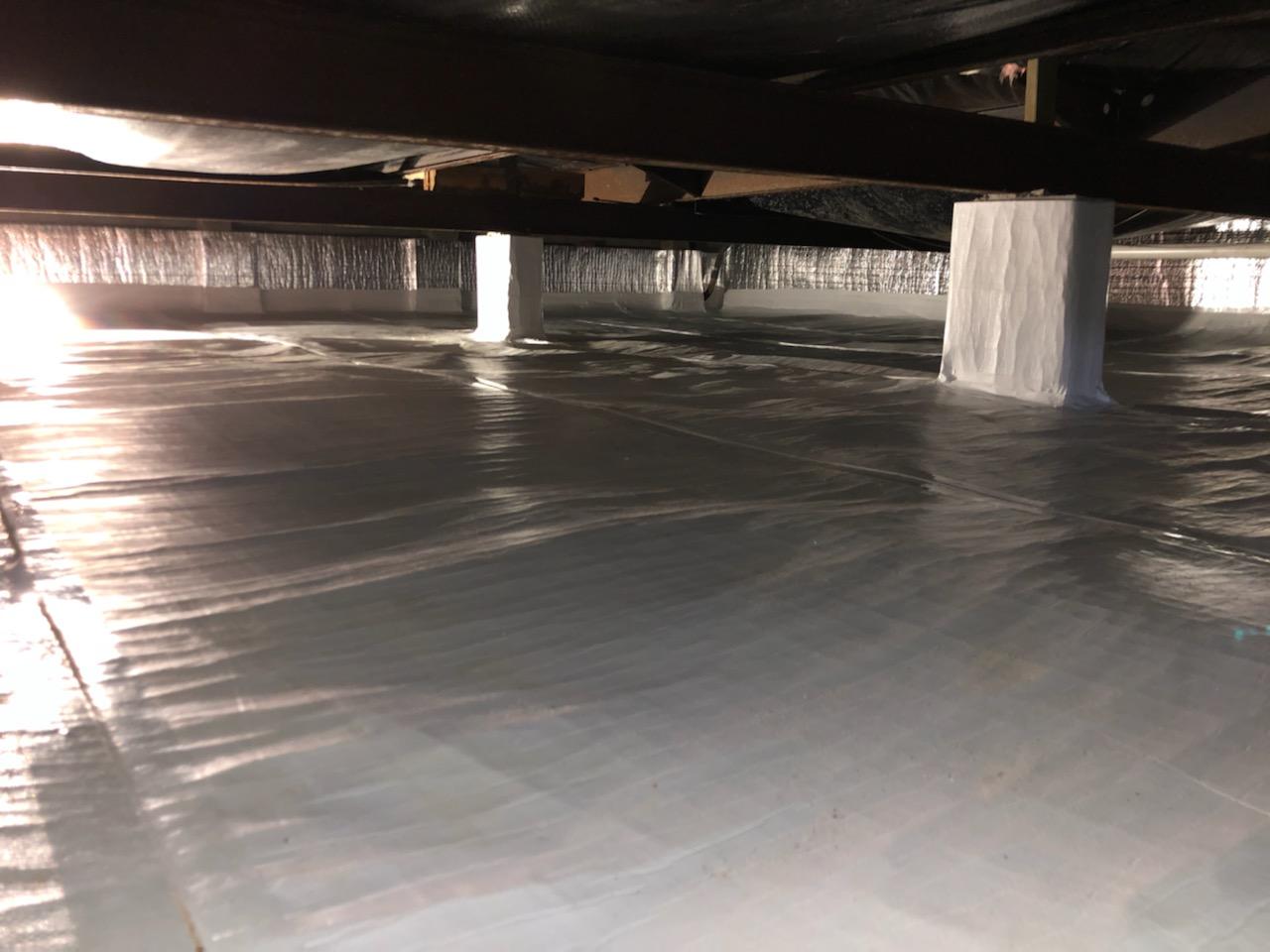 Carp Lake After 1 (1)